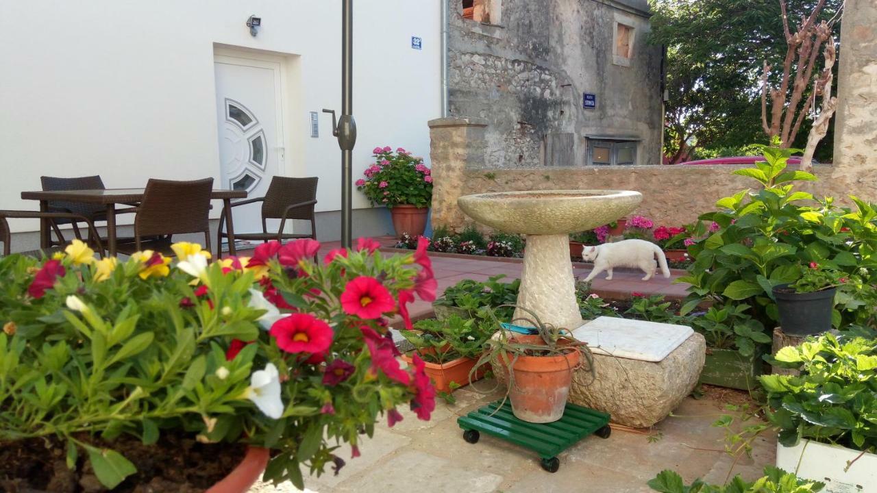 Apartmani Filip Zadar Diklo 外观 照片