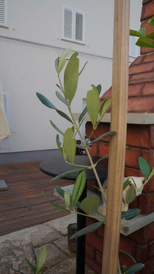 Apartmani Filip Zadar Diklo 外观 照片