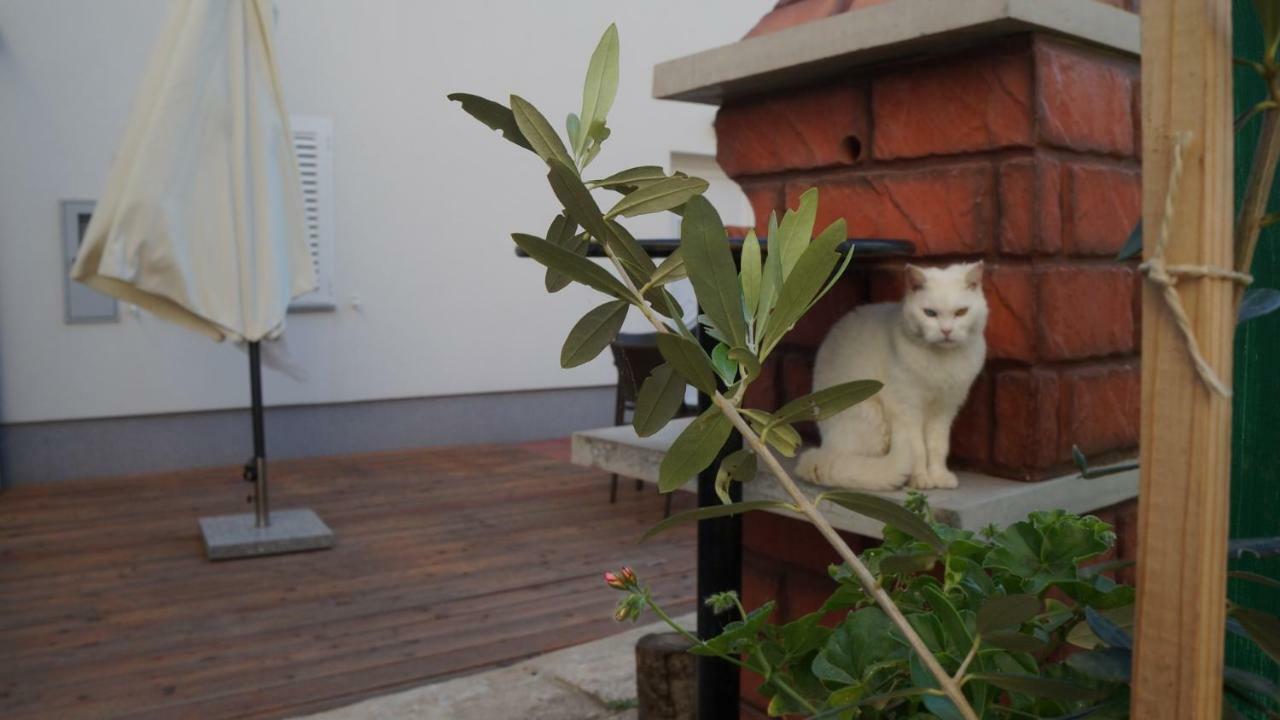 Apartmani Filip Zadar Diklo 外观 照片